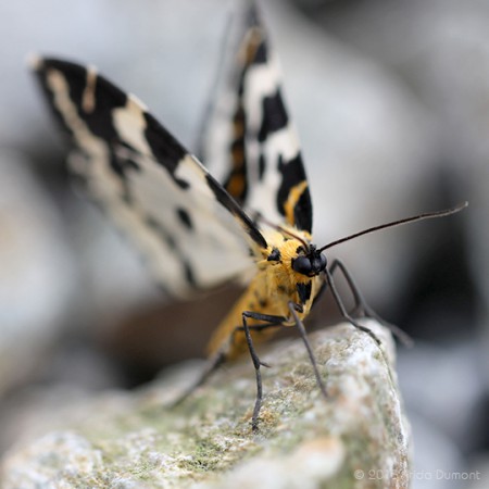 Belle Île, Bretagne
